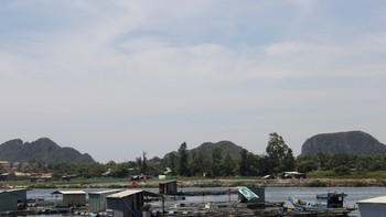 Ước mơ Cổ Cò “sống” lại