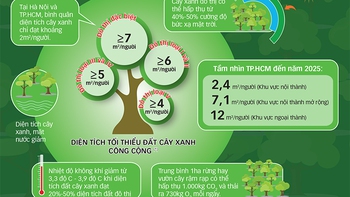  Ai lấy mất mảng xanh đô thị ?