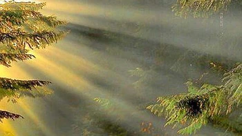 Có lương sư, mới hưng quốc