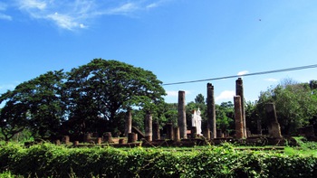 Độc đáo rau muống bay đêm