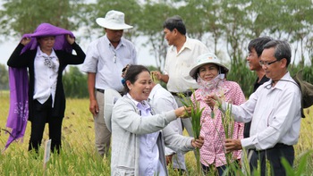 Hội thảo của “nhà khoa học chân đất”