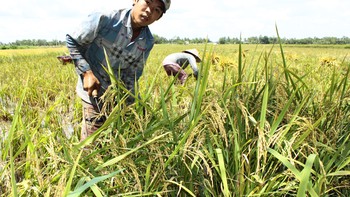 Chuyện đơn giản mà thành phức tạp 