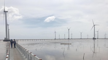 Năm 2018: Cần hành động để "bức tranh môi trường" sáng hơn 