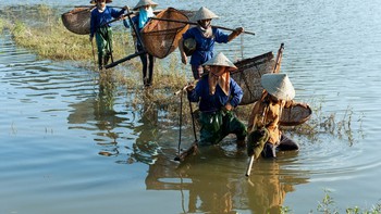 Bản sắc Việt: Đậm đà mắm tép đồng chiêm