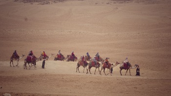 Thăm xứ sở của các Pharaoh