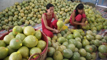 Cần có cách nhìn khác về nông nghiệp