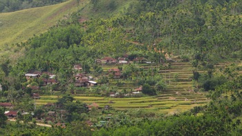 Để mùa ngón ám ảnh không về