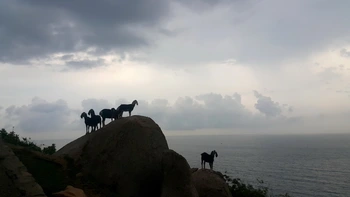 Thằng bé chăn dê