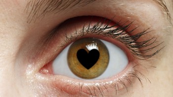 Đây là những gì mà yêu đương gây ra cho bộ não