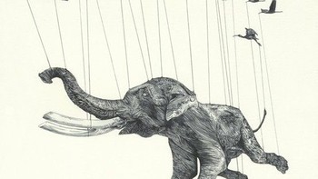Nhân sự làng nhàng và làm sao bắt cá voi đổi hướng bơi ?