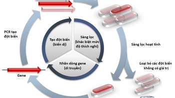Nobek Hóa học 2018: Tìm hiệu quả từ những điều đơn giản