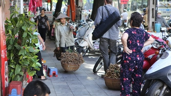 "Kinh tế ngầm": Phải hiểu tường tận trước thay vì tính cách tận thu