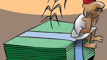 Thực hư thành tựu xuất khẩu nông sản?