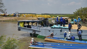  30 năm, một nỗi đau đáu về thương hiệu gạo