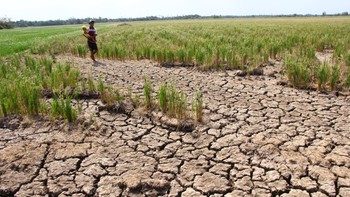 Nước và nghịch lý thừa - thiếu