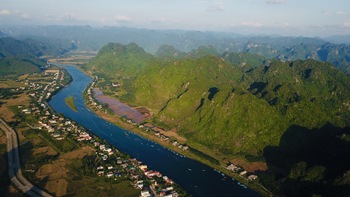 Bất thường chuyện homestay đại hạ giá