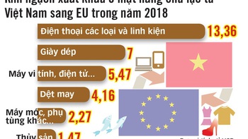 Đằng sau Hiệp định thương mại tự do (EVFTA) và Hiệp định bảo hộ đầu tư (IPA) giữa Việt Nam và EU