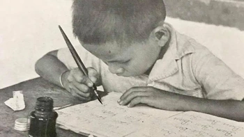 Xa xôi mực tím