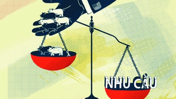 Thị trường thịt heo: Giới hạn của tương quan Việt Nam - Trung Quốc