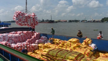 Xuất khẩu gạo rong thời COVID-19: Cửa hẹp, cơ hội ngắn, không nên bỏ lỡ