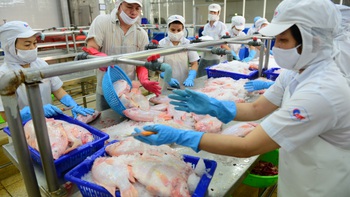 Kinh doanh hậu COVID-19: Làm gì sau ngủ đông?