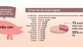 Thị trường thịt heo: Dễ đẩy giá lên, khó kéo giá xuống ?