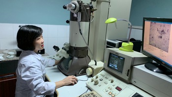 Về các chủng virus ở Việt Nam: Tiếp tục nghiên cứu làm rõ 