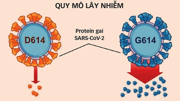 Đột biến, chủng mới của virus: Chưa vội kết luận
