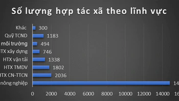 Rượu mới, nhưng bình chưa mới