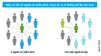 Bài toán lắt léo của miễn dịch cộng đồng