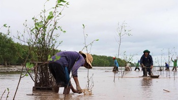 Dân góp cây trồng rừng