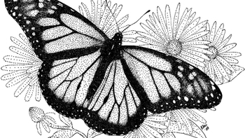 Truyện ngắn: Giáng sinh