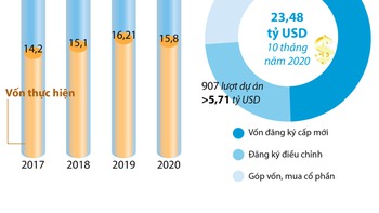 Đón sóng FDI: Nạc và xương