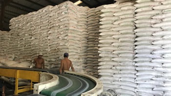 Tái cơ cấu ngành mía đường: Không thể nửa vời