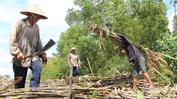 Sau thời hoàng kim là gánh nặng