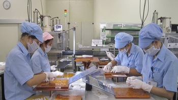 Làn sóng chuyển dịch FDI: Thêm cơ hội cho lao động trẻ