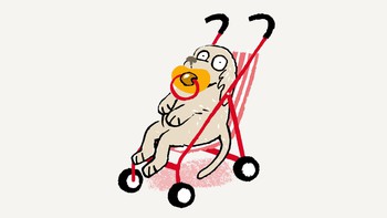 Thú cưng không phải con người