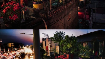 Căn nhà hoa giấy