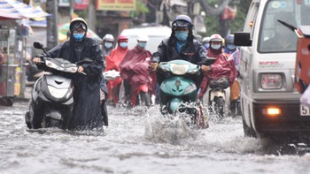 Thị trường thịt heo: Nhìn từ các chủ trang trại