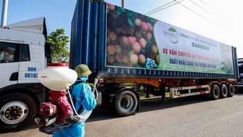 Nhật Bản và Trung Quốc: Sự tương phản trong hai thất bại