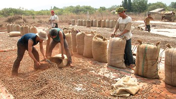 Kho tàng nghệ thuật truyền thống: Những hóa thân trong cuộc sống đương đại