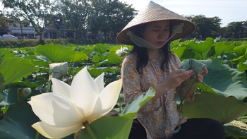 Công nghiệp dược lao đao vì COVID-19