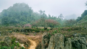 Bóng không lăn, cầu thủ làm gì?