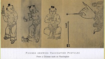Tầm nguyên vaccine