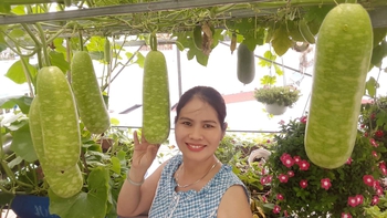 Giảm sốc khi đứt chuỗi cung ứng thực phẩm