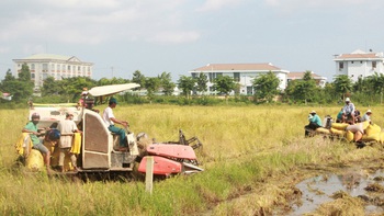 Truyện ngắn dự thi văn học tuổi 20: Tơ rơi