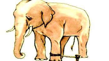 Bên ngoài