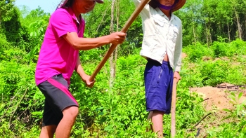 Công nhân trong “cơn bão COVID-19”