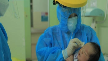 Bức Tường trở lại