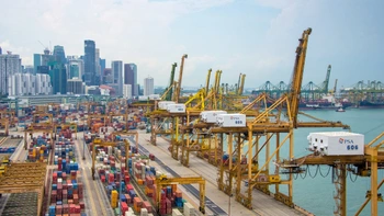 Gạo trắng và nguy cơ bệnh tiểu đường